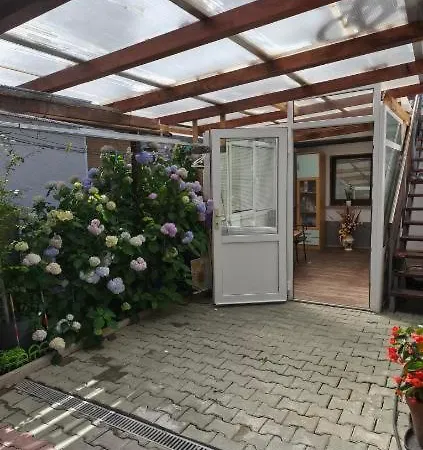 Apartment Pri Tetki 2 *